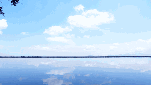 658f98ce0ad1192f1f85b1f485e8f1cc.gif